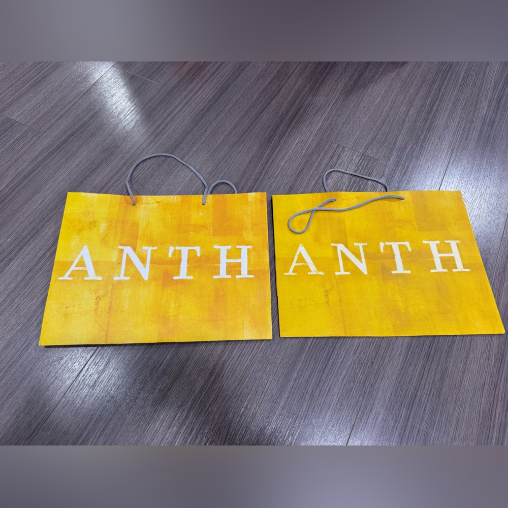 2x Anthropologie medium bag